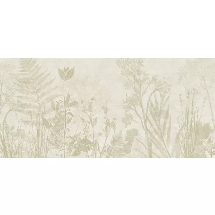 K'moor / Ambience poszter