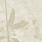 K'moor / Ambience poszter