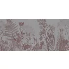 K'moor / Ambience poszter