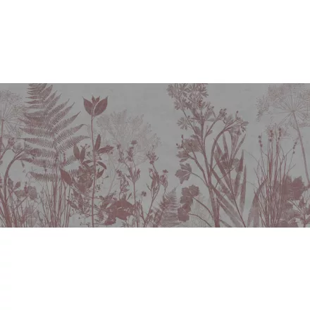 K'moor / Ambience poszter