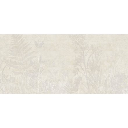 K'moor / Ambience poszter