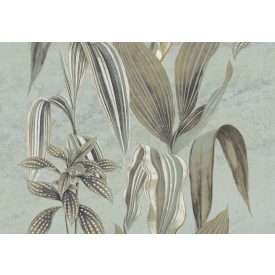 K'moor / Ambience poszter