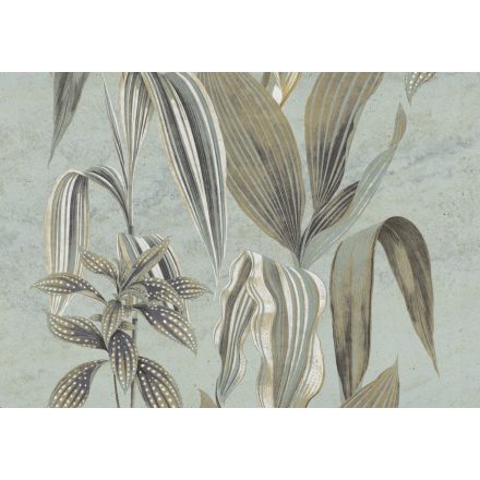 K'moor / Ambience poszter