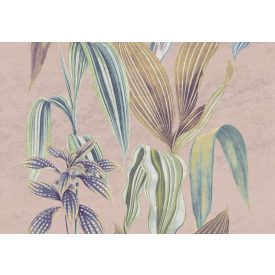 K'moor / Ambience poszter