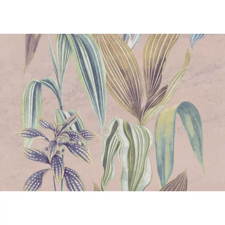 K'moor / Ambience poszter