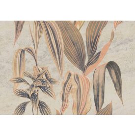 K'moor / Ambience poszter