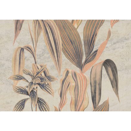 K'moor / Ambience poszter