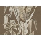 K'moor / Ambience poszter