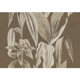 K'moor / Ambience poszter