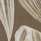 K'moor / Ambience poszter