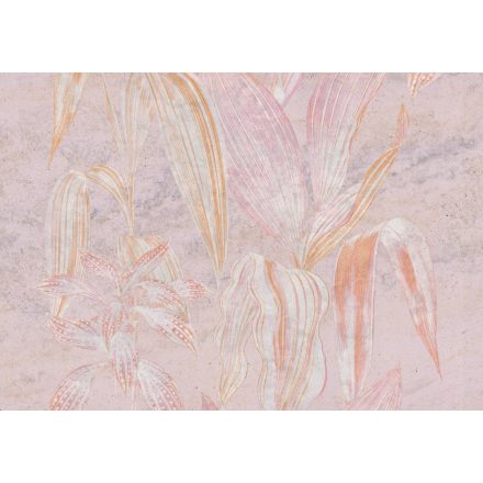 K'moor / Ambience poszter