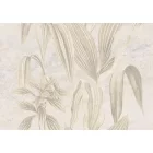 K'moor / Ambience poszter