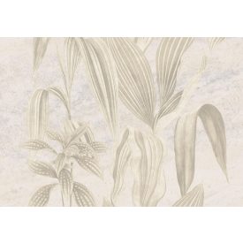 K'moor / Ambience poszter