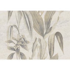 K'moor / Ambience poszter