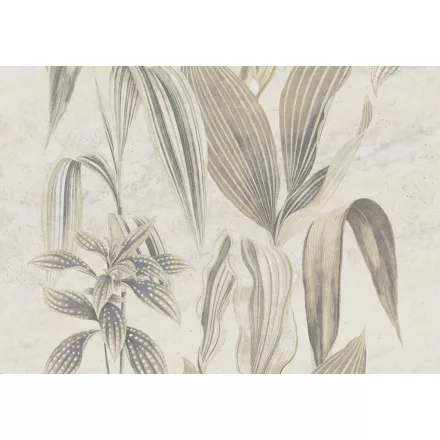 K'moor / Ambience poszter