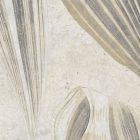 K'moor / Ambience poszter