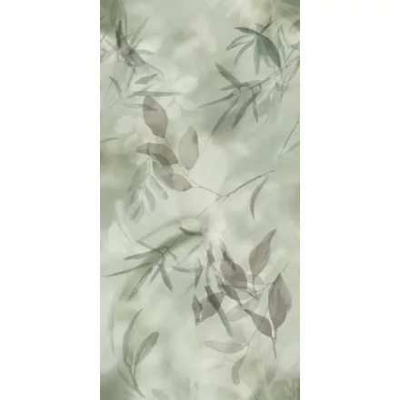 K'moor / Ambience poszter