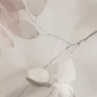 K'moor / Ambience poszter