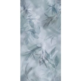 K'moor / Ambience poszter