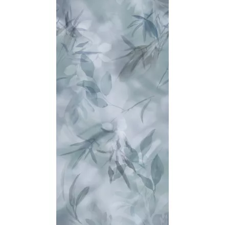 K'moor / Ambience poszter