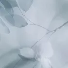 K'moor / Ambience poszter