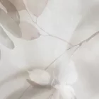 K'moor / Ambience poszter