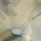 K'moor / Ambience poszter