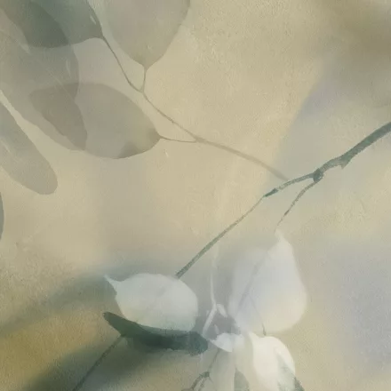 K'moor / Ambience poszter