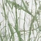 K'moor / Ambience poszter