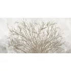 K'moor / Ambience poszter