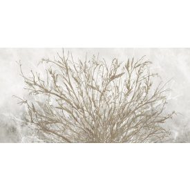 K'moor / Ambience poszter