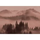 K'moor / Ambience poszter