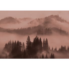 K'moor / Ambience poszter