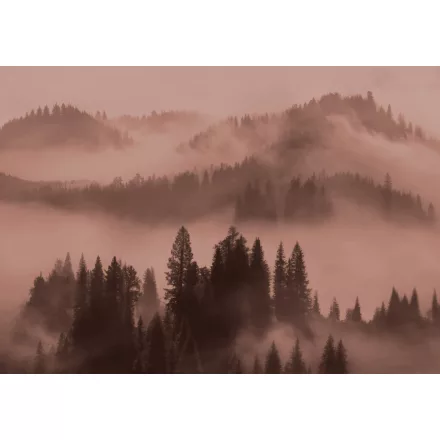 K'moor / Ambience poszter