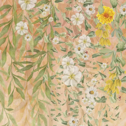 K'moor / Ambience poszter