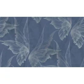 K'moor / Ambience poszter