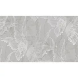 K'moor / Ambience poszter