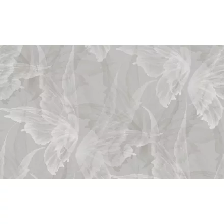 K'moor / Ambience poszter