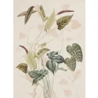 K'moor / Ambience poszter