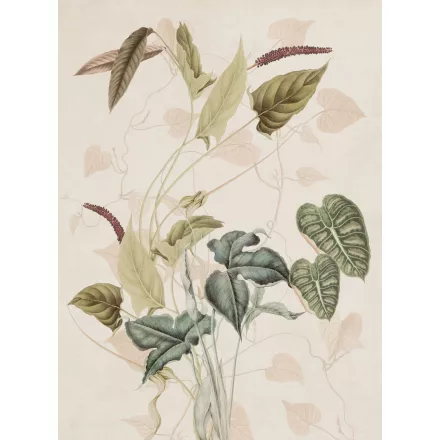 K'moor / Ambience poszter