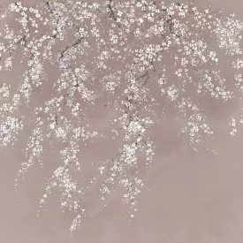 K'moor / Ambience poszter