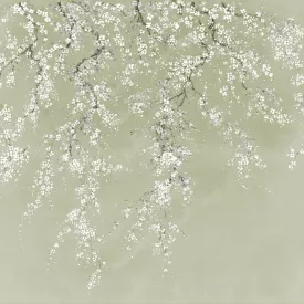 K'moor / Ambience poszter