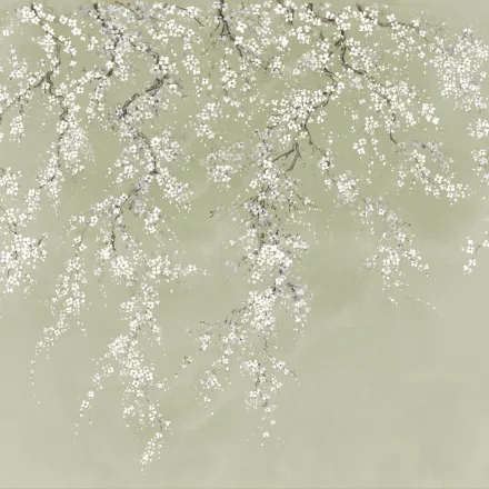 K'moor / Ambience poszter