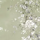 K'moor / Ambience poszter