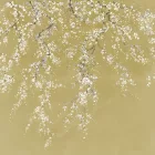 K'moor / Ambience poszter