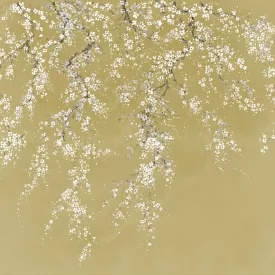 K'moor / Ambience poszter