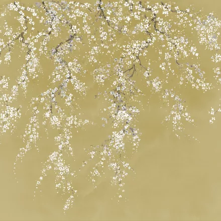 K'moor / Ambience poszter