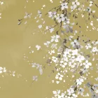 K'moor / Ambience poszter