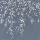 K'moor / Ambience poszter