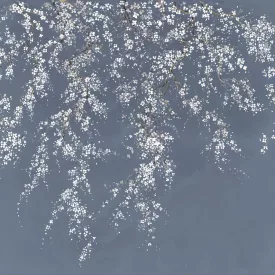 K'moor / Ambience poszter